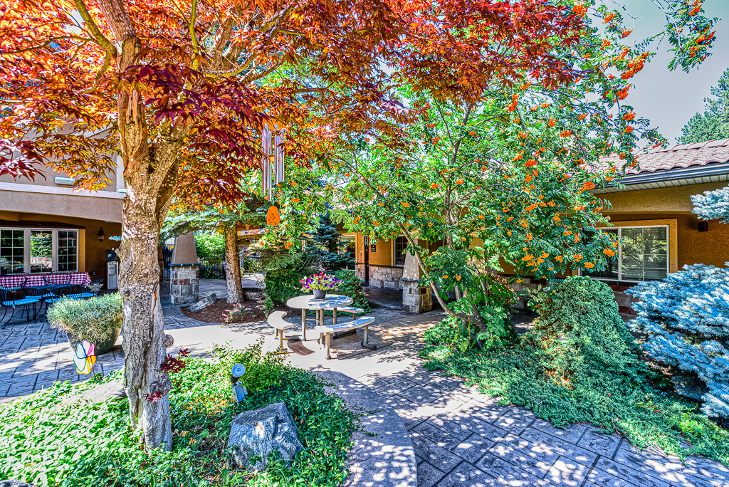 Outdoor Area Outdoor Area